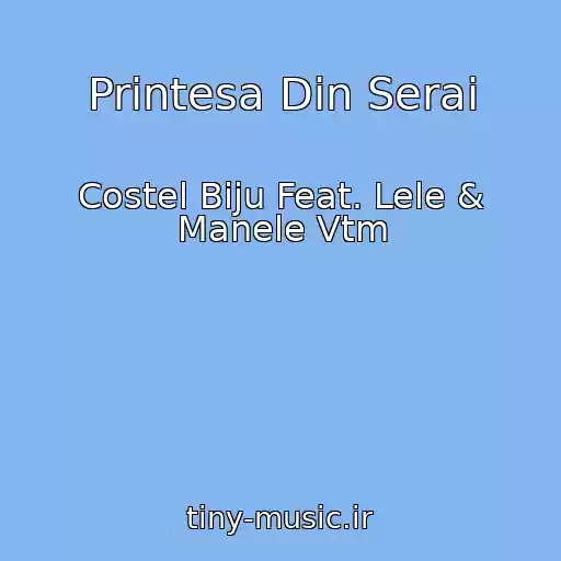 کاور آهنگ Printesa Din Serai از Costel Biju Feat. Lele & Manele Vtm