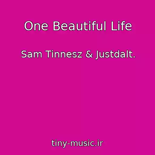 کاور آهنگ One Beautiful Life از Sam Tinnesz & Justdalt.