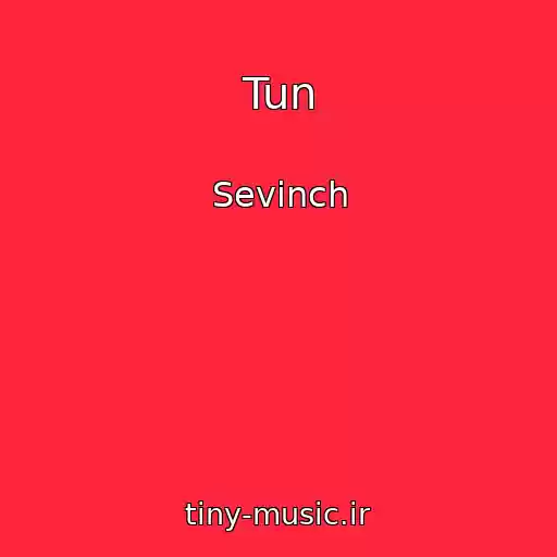 کاور آهنگ Tun از Sevinch