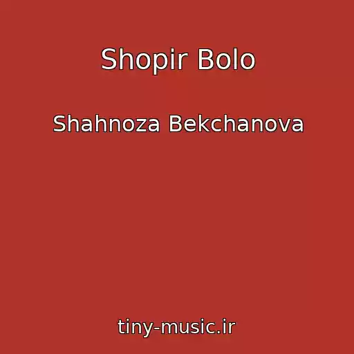 کاور آهنگ Shopir Bolo از Shahnoza Bekchanova