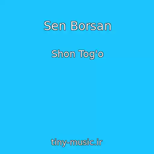 کاور آهنگ Sen Borsan از Shon Tog'o