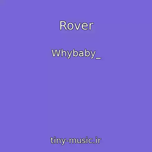 کاور آهنگ Rover از Whybaby_