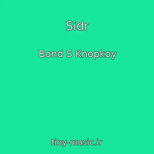 کاور آهنگ Sidr از Bond S Knopkoy
