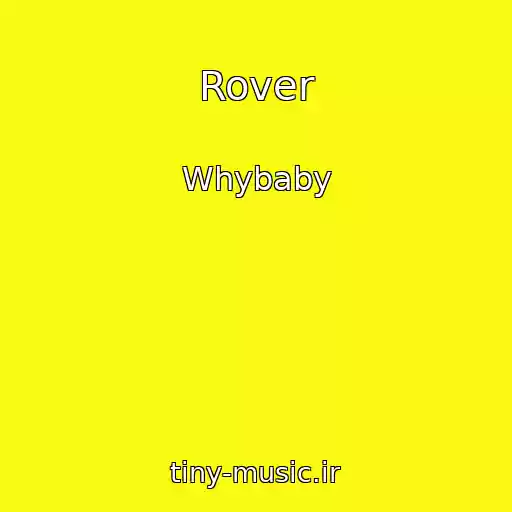کاور آهنگ Rover از Whybaby