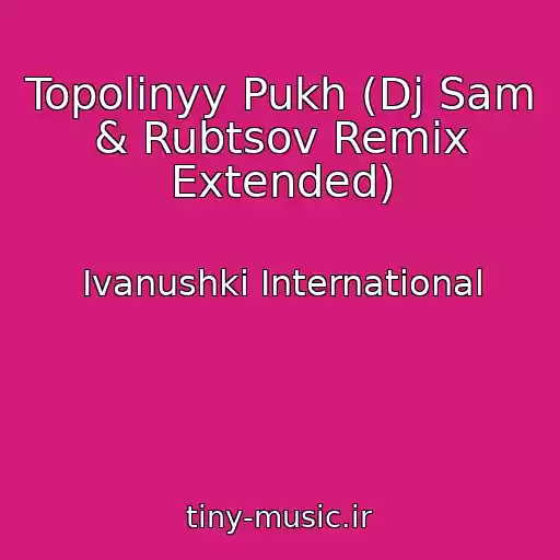 کاور آهنگ Topolinyy Pukh (Dj Sam & Rubtsov Remix Extended) از Ivanushki International
