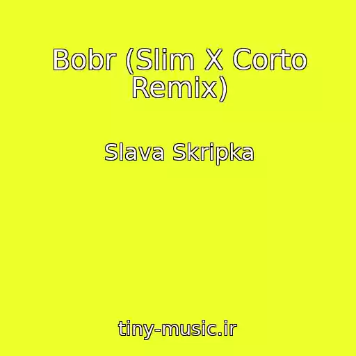 کاور آهنگ Bobr (Slim X Corto Remix) از Slava Skripka