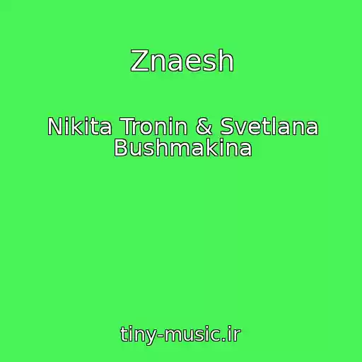 کاور آهنگ Znaesh از Nikita Tronin & Svetlana Bushmakina