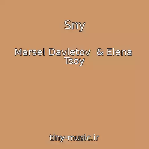 کاور آهنگ Sny از Marsel Davletov  & Elena  Tsoy