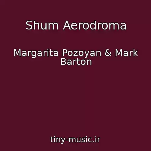 کاور آهنگ Shum Aerodroma از Margarita Pozoyan & Mark Barton