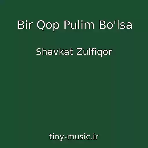 کاور آهنگ Bir Qop Pulim Bo'lsa از Shavkat Zulfiqor