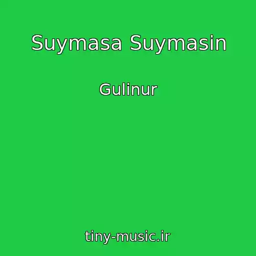 کاور آهنگ Suymasa Suymasin از Gulinur