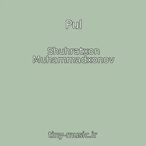 کاور آهنگ Pul از Shuhratxon Muhammadxonov