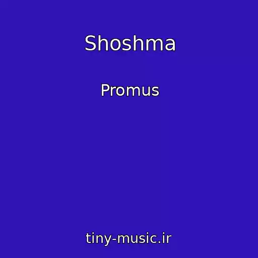 کاور آهنگ Shoshma از Promus