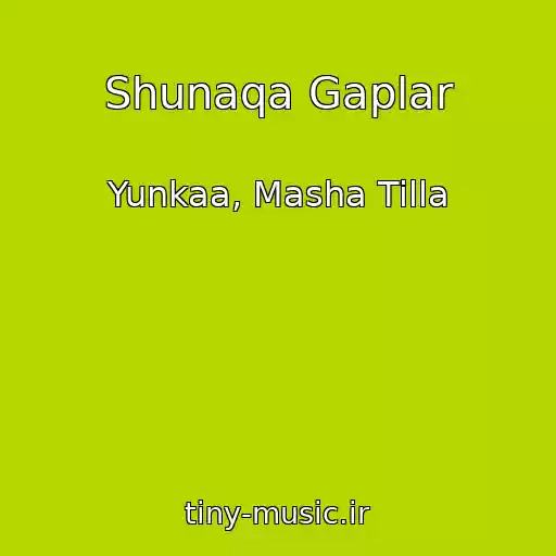 کاور آهنگ Shunaqa Gaplar از Yunkaa, Masha Tilla