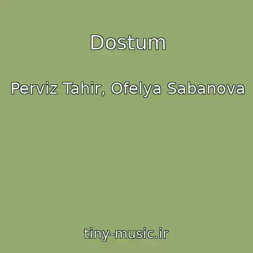 کاور آهنگ Dostum از Perviz Tahir, Ofelya Sabanova