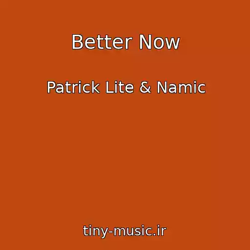 کاور آهنگ Better Now از Patrick Lite & Namic