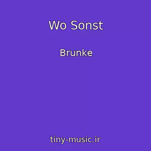 کاور آهنگ Wo Sonst از Brunke