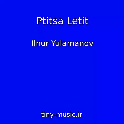 کاور آهنگ Ptitsa Letit از Ilnur Yulamanov
