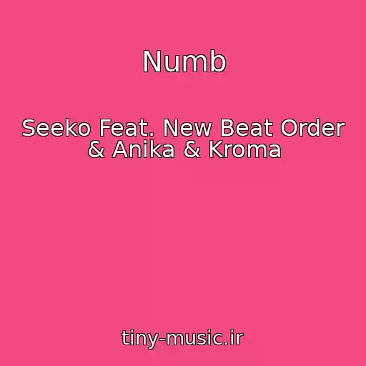کاور آهنگ Numb از Seeko Feat. New Beat Order & Anika & Kroma