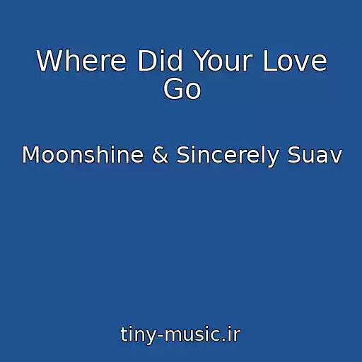 کاور آهنگ Where Did Your Love Go از Moonshine & Sincerely Suav