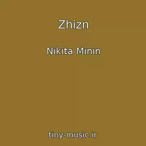 کاور آهنگ Zhizn از Nikita Minin