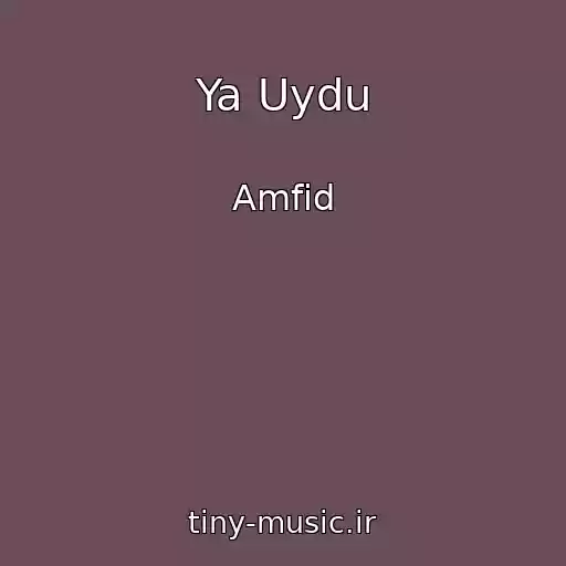 کاور آهنگ Ya Uydu از Amfid