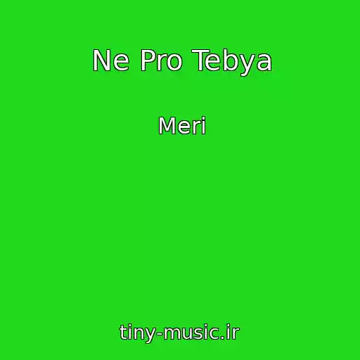 کاور آهنگ Ne Pro Tebya از Meri