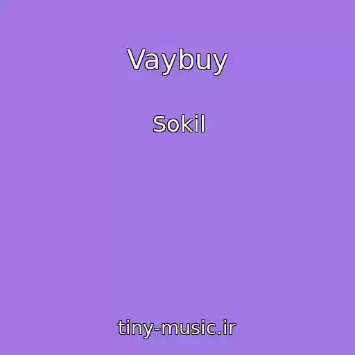 کاور آهنگ Vaybuy از Sokil