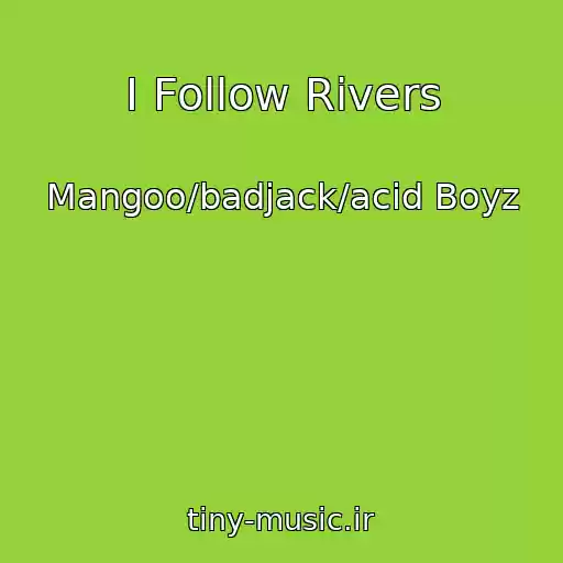کاور آهنگ I Follow Rivers از Mangoo/badjack/acid Boyz