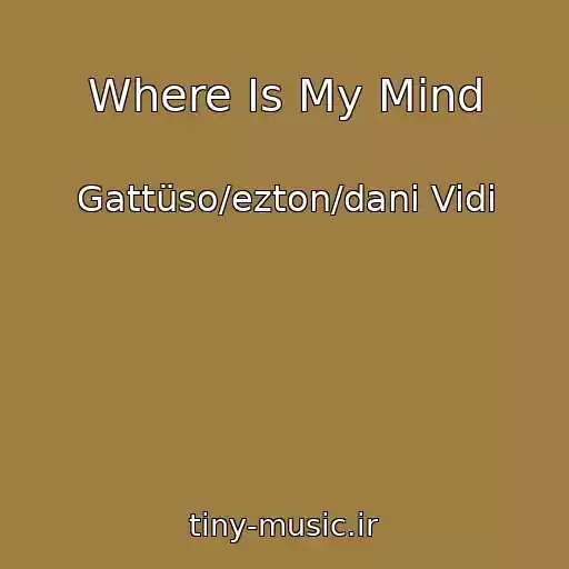 کاور آهنگ Where Is My Mind از Gattüso/ezton/dani Vidi