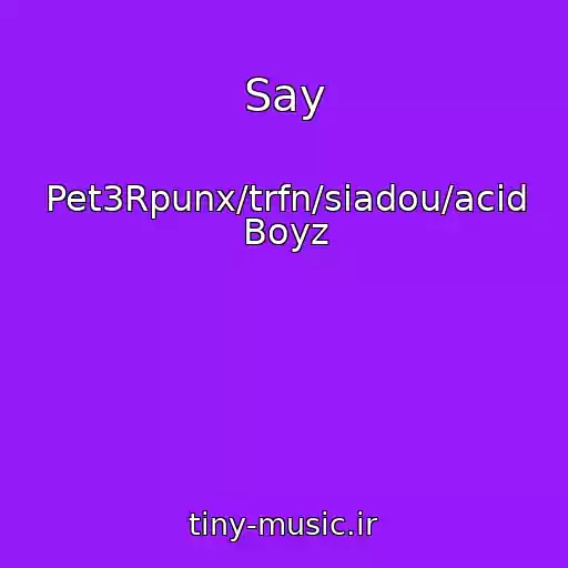کاور آهنگ Say از Pet3Rpunx/trfn/siadou/acid Boyz