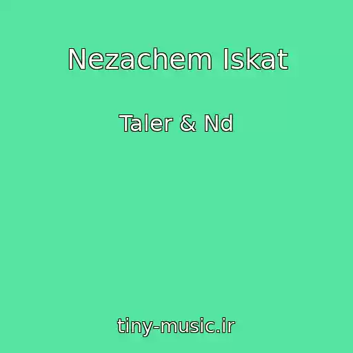 کاور آهنگ Nezachem Iskat از Taler & Nd