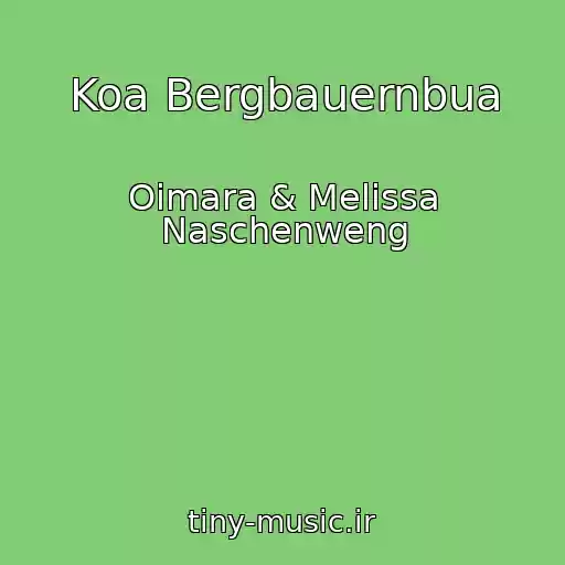 کاور آهنگ Koa Bergbauernbua از Oimara & Melissa Naschenweng