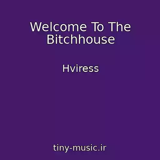 کاور آهنگ Welcome To The Bitchhouse از Hviress