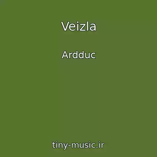 کاور آهنگ Veizla از Ardduc