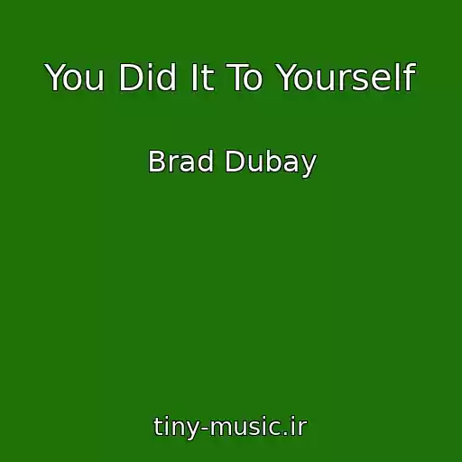 کاور آهنگ You Did It To Yourself از Brad Dubay