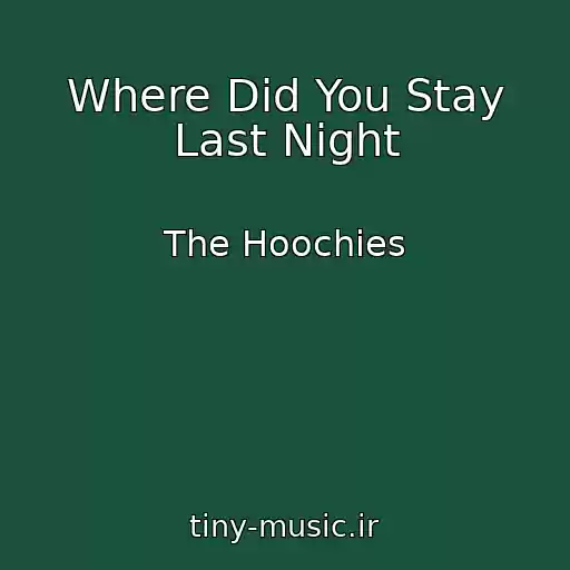 کاور آهنگ Where Did You Stay Last Night از The Hoochies