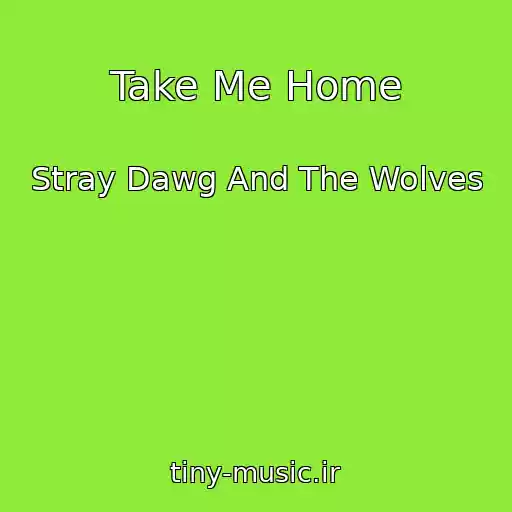 کاور آهنگ Take Me Home از Stray Dawg And The Wolves