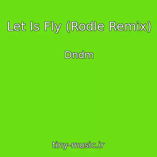 کاور آهنگ Let Is Fly (Rodle Remix) از Dndm