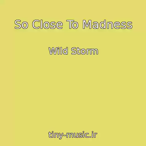 کاور آهنگ So Close To Madness از Wild Storm