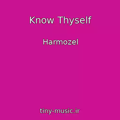 کاور آهنگ Know Thyself از Harmozel