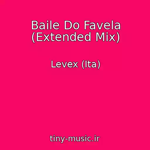 کاور آهنگ Baile Do Favela (Extended Mix) از Levex (Ita)