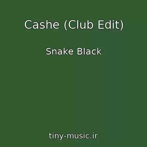کاور آهنگ Cashe (Club Edit) از Snake Black