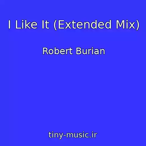 کاور آهنگ I Like It (Extended Mix) از Robert Burian