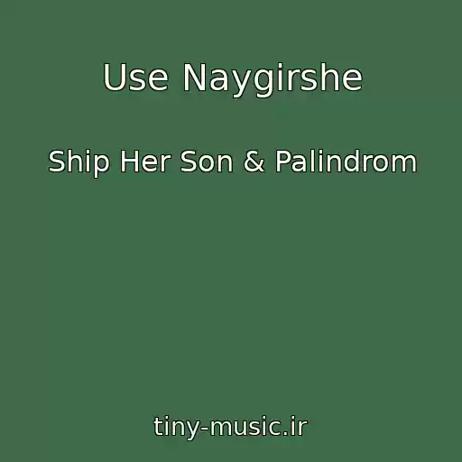کاور آهنگ Use Naygіrshe از Ship Her Son & Palіndrom