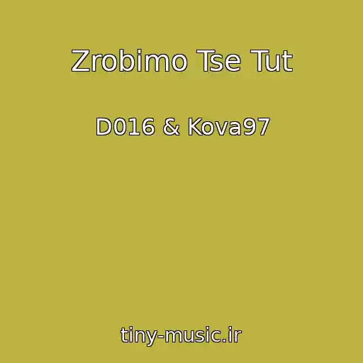 کاور آهنگ Zrobimo Tse Tut از D016 & Kova97
