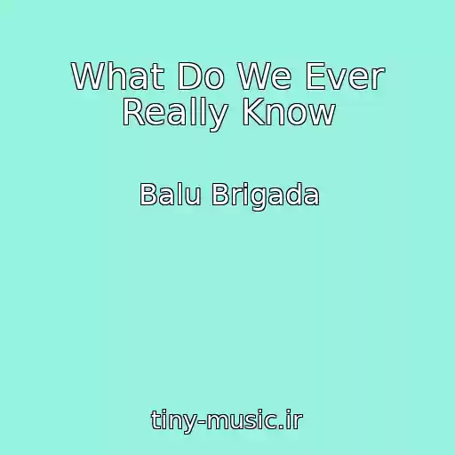 کاور آهنگ What Do We Ever Really Know از Balu Brigada