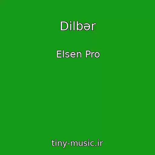 کاور آهنگ Dilbər از Elsen Pro