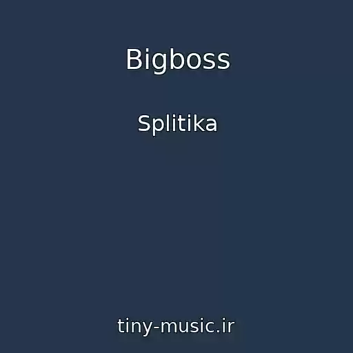 کاور آهنگ Bigboss از Splitika