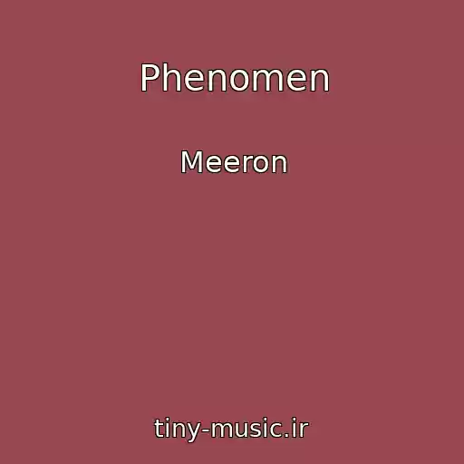 کاور آهنگ Phenomen از Meeron